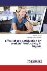 Effect of Job satisfaction on Workers' Productivity in Nigeria