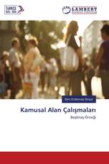 Kamusal Alan Çalışmaları