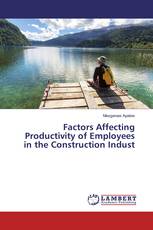 Factors Affecting Productivity of Employees in the Construction Indust