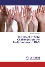 The Effect of SCM Challenges on the Performances of HAO