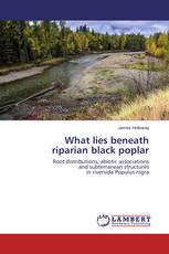 What lies beneath riparian black poplar
