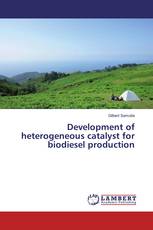 Development of heterogeneous catalyst for biodiesel production