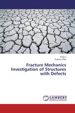Fracture Mechanics Investigation of Structures with Defects