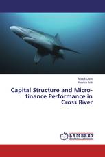 Capital Structure and Micro-finance Performance in Cross River