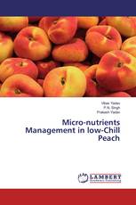 Micro-nutrients Management in low-Chill Peach