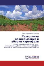 Технология возделывания и уборки картофеля