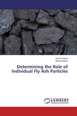 Determining the Role of Individual Fly Ash Particles