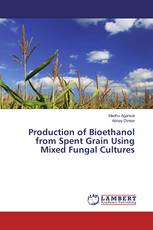 Production of Bioethanol from Spent Grain Using Mixed Fungal Cultures