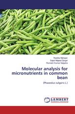 Molecular analysis for micronutrients in common bean