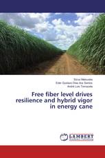 Free fiber level drives resilience and hybrid vigor in energy cane