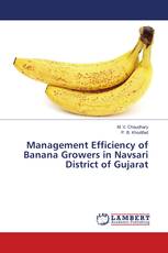 Management Efficiency of Banana Growers in Navsari District of Gujarat