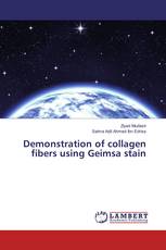 Demonstration of collagen fibers using Geimsa stain