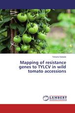Mapping of resistance genes to TYLCV in wild tomato accessions