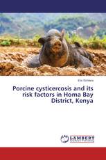 Porcine cysticercosis and its risk factors in Homa Bay District, Kenya