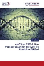 eNOS ve CAV-1 Gen Varyasyonlarının Bireysel ve Kombine Etkileri