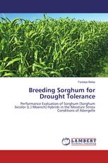 Breeding Sorghum for Drought Tolerance