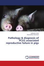 Pathology & diagnosis of PCV2 associated reproductive failure in pigs