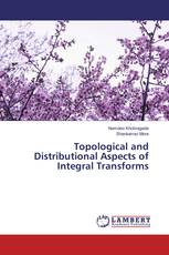 Topological and Distributional Aspects of Integral Transforms