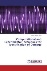 Computational and Experimental Techniques for Identification of Damage