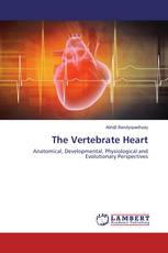 The Vertebrate Heart