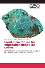 Identificación de las mineralizaciones de cobre