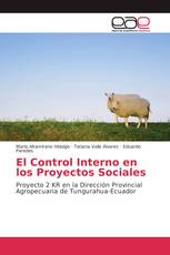 El Control Interno en los Proyectos Sociales