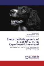 Study the Pathogenesis of E. coli O157:H7 in Experimental Inoculated