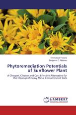 Phytoremediation Potentials of Sunflower Plant