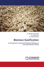 Biomass Gasification