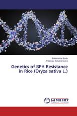Genetics of BPH Resistance in Rice (Oryza sativa L.)