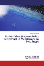 Puffer fishes (Lagocephalus sceleratus) in Mediterranean Sea, Egypt
