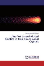 Ultrafast Laser-induced Kinetics in Two-dimensional Crystals
