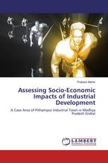 Assessing Socio-Economic Impacts of Industrial Development