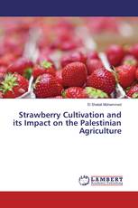Strawberry Cultivation and its Impact on the Palestinian Agriculture