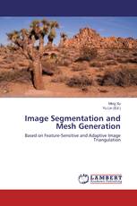 Image Segmentation and Mesh Generation