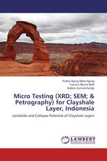Micro Testing (XRD; SEM; & Petrography) for Clayshale Layer, Indonesia