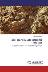 Soil particulate organic matter