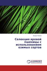 Селекция яровой пшеницы с использованием озимых сортов