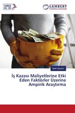 İş Kazası Maliyetlerine Etki Eden Faktörler Üzerine Ampirik Araştırma