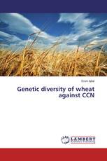 Genetic diversity of wheat against CCN