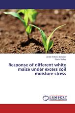 Response of different white maize under excess soil moisture stress