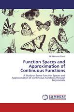 Function Spaces and Approximation of Continuous Functions