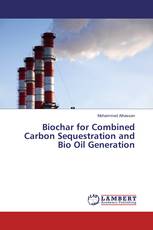 Biochar for Combined Carbon Sequestration and Bio Oil Generation