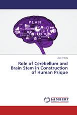 Role of Cerebellum and Brain Stem in Construction of Human Psique