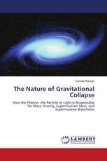 The Nature of Gravitational Collapse