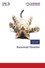 Kurumsal Yönetim