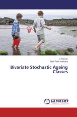 Bivariate Stochastic Ageing Classes