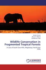 Wildlife Conservation in Fragmented Tropical Forests