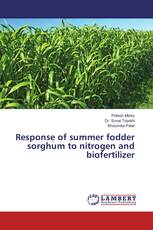 Response of summer fodder sorghum to nitrogen and biofertilizer