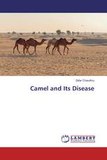 Camel and Its Disease